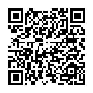 Escanea para descargar Pegazzus Wallet en Google Play